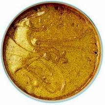 International Coatings IC 0151 Gold Glitter 