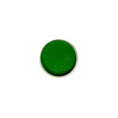 International Coatings IC 0907 All-Pro (Nylon) Kelly Green (IC 0907 --- 01 GALLON)