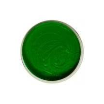 International Coatings IC 0907 All-Pro (Nylon) Kelly Green