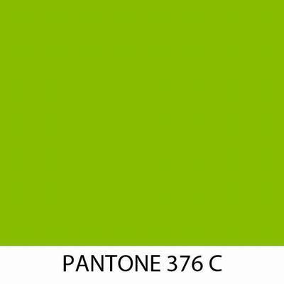 Pantone 376