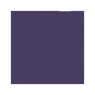 International Coatings IC 7509 Violet (Flex Cure) (IC 7509 --- 01 GALLON)