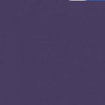 International Coatings IC 7509 Violet (Flex Cure)